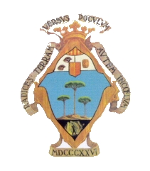 escudo PINOSO transparente